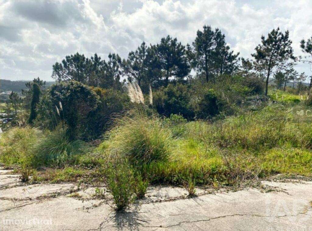 Terreno para construção em Queluz e Belas - Grande imagem: 5/19