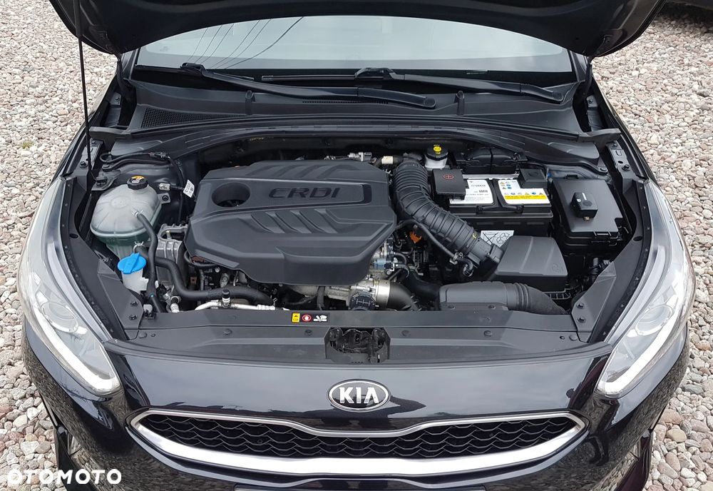 Kia ProCeed 1.6 CRDi DCT7 SCR GT LINE - 39