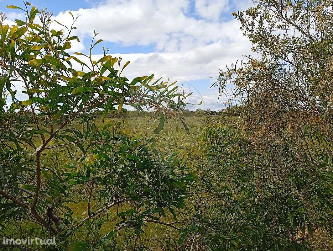 Terreno  para venda - Grande imagem: 2/7