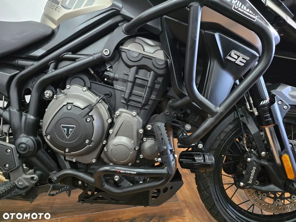 Triumph Tiger - 17