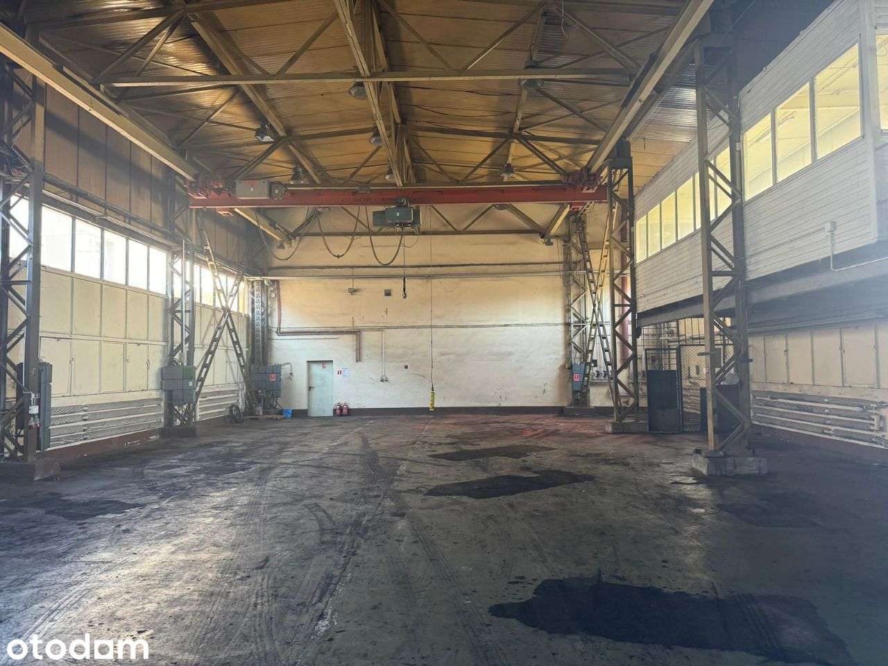 Hala magazynowa 800m2 z suwnicą + teren przed halą - Pełny obrazek: 3/4