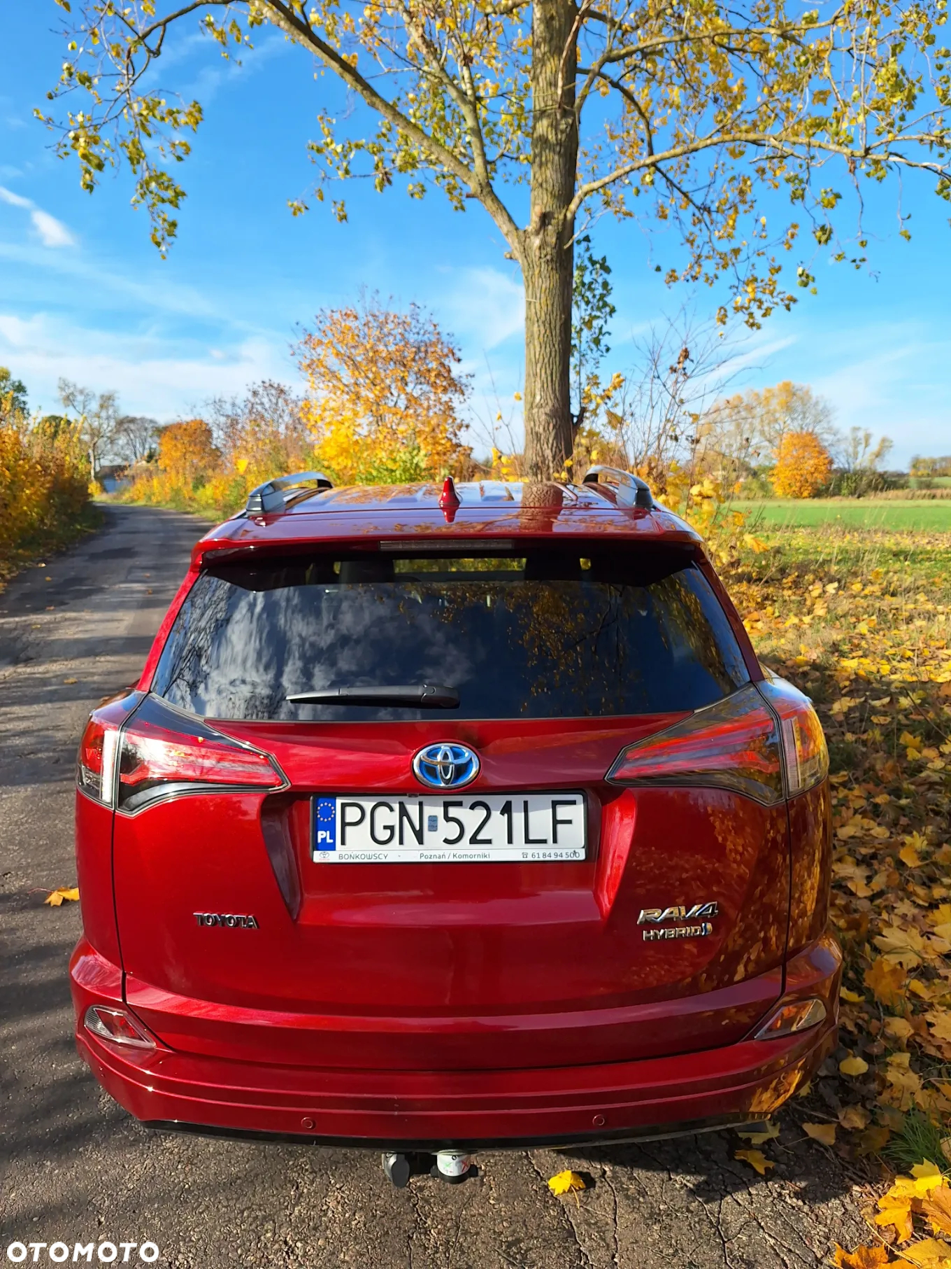 Toyota RAV4 - 11