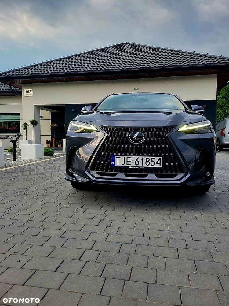 Lexus NX 350h Prestige AWD - 1