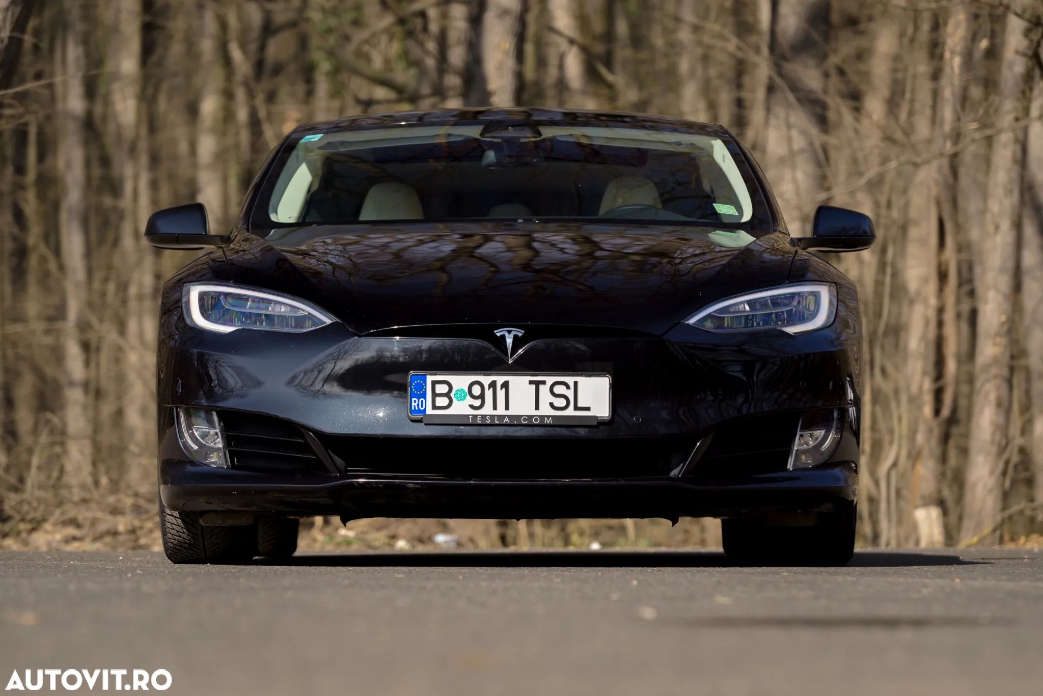 Tesla Model S Performance - 1