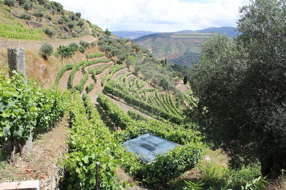 Terreno  para venda - Grande imagem: 2/14