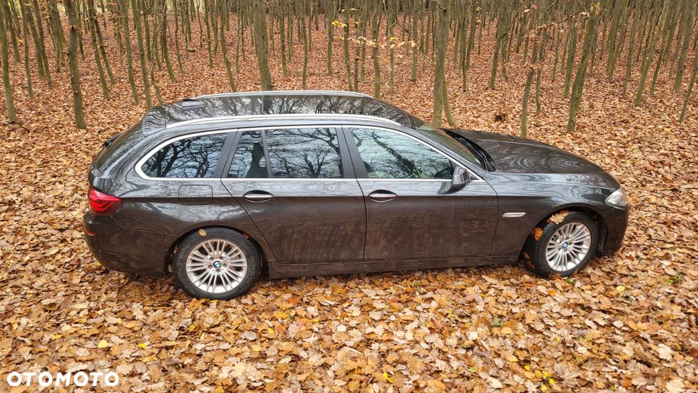 BMW Seria 5 520d - 10