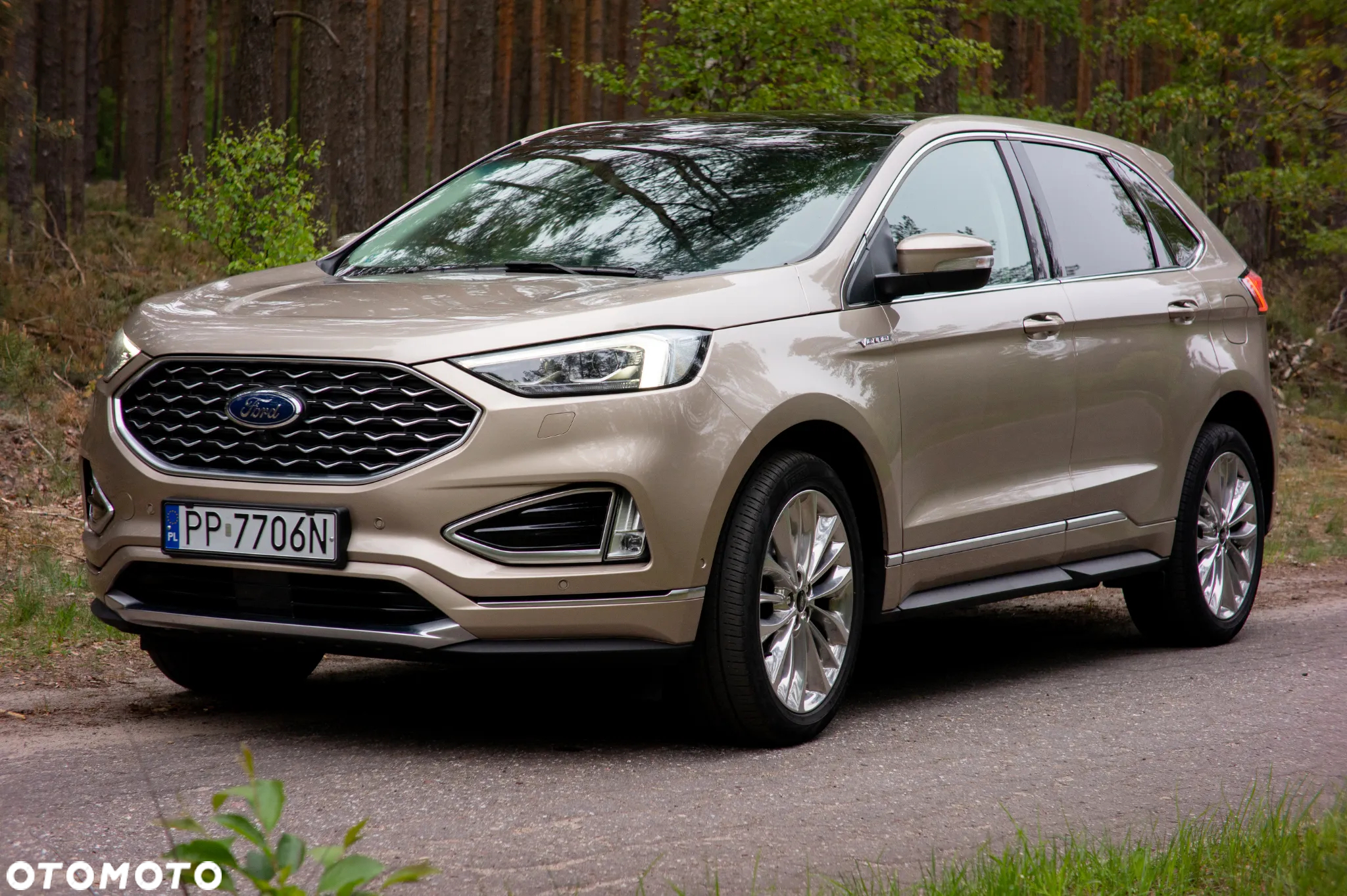 Ford Edge 2.0 EcoBlue Twin-Turbo 4WD Vignale - 12