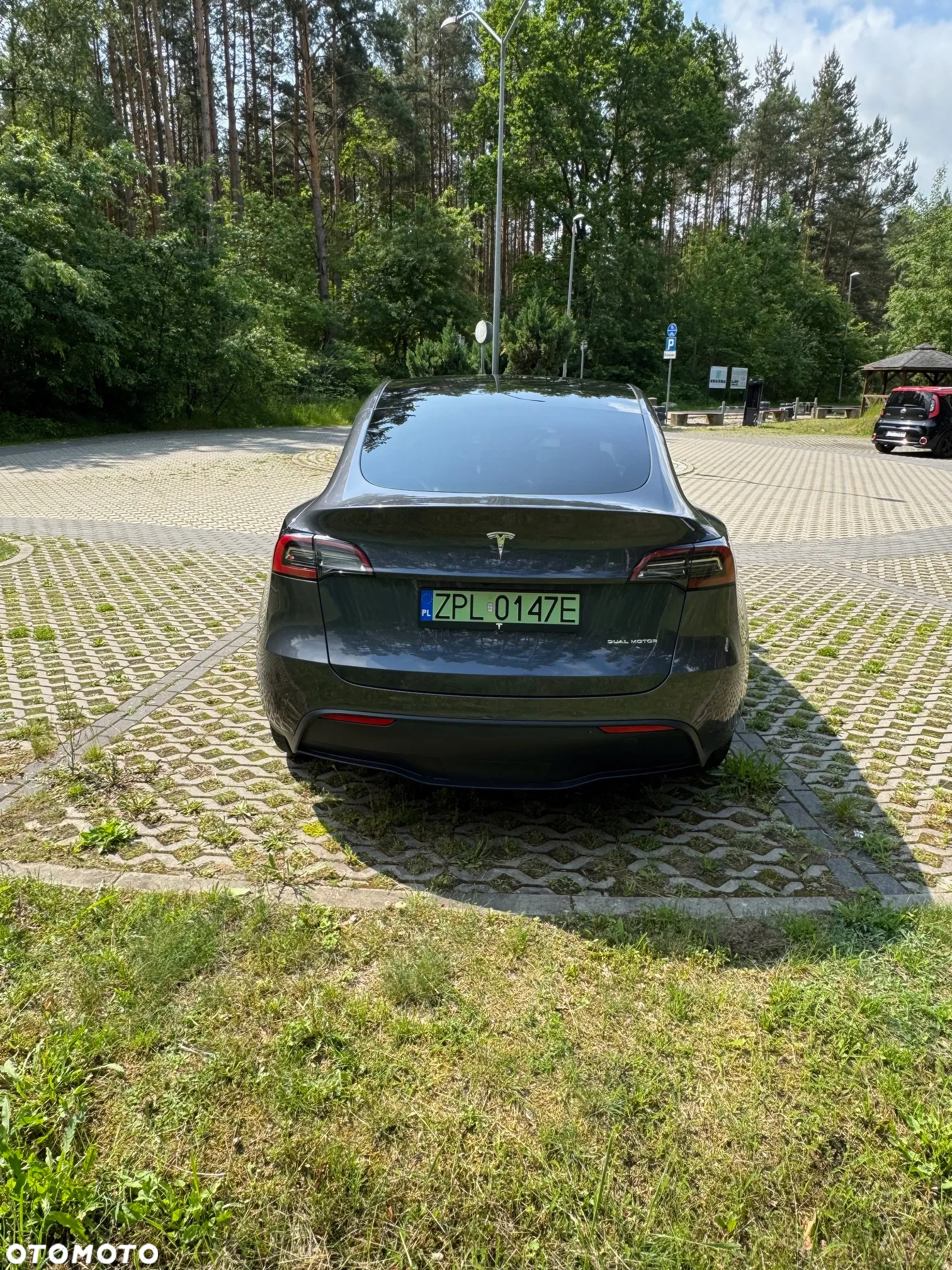 Tesla Y Model Long Range Dual Motor AWD - 7