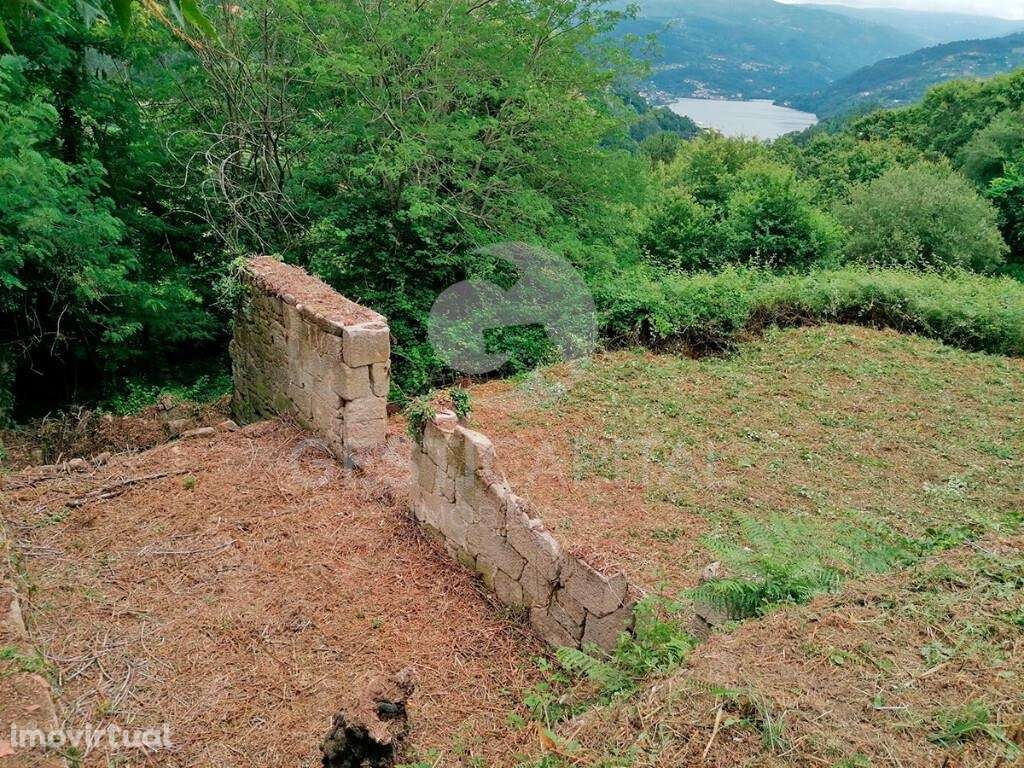 Quinta com vistas para o Douro - Grande imagem: 4/29
