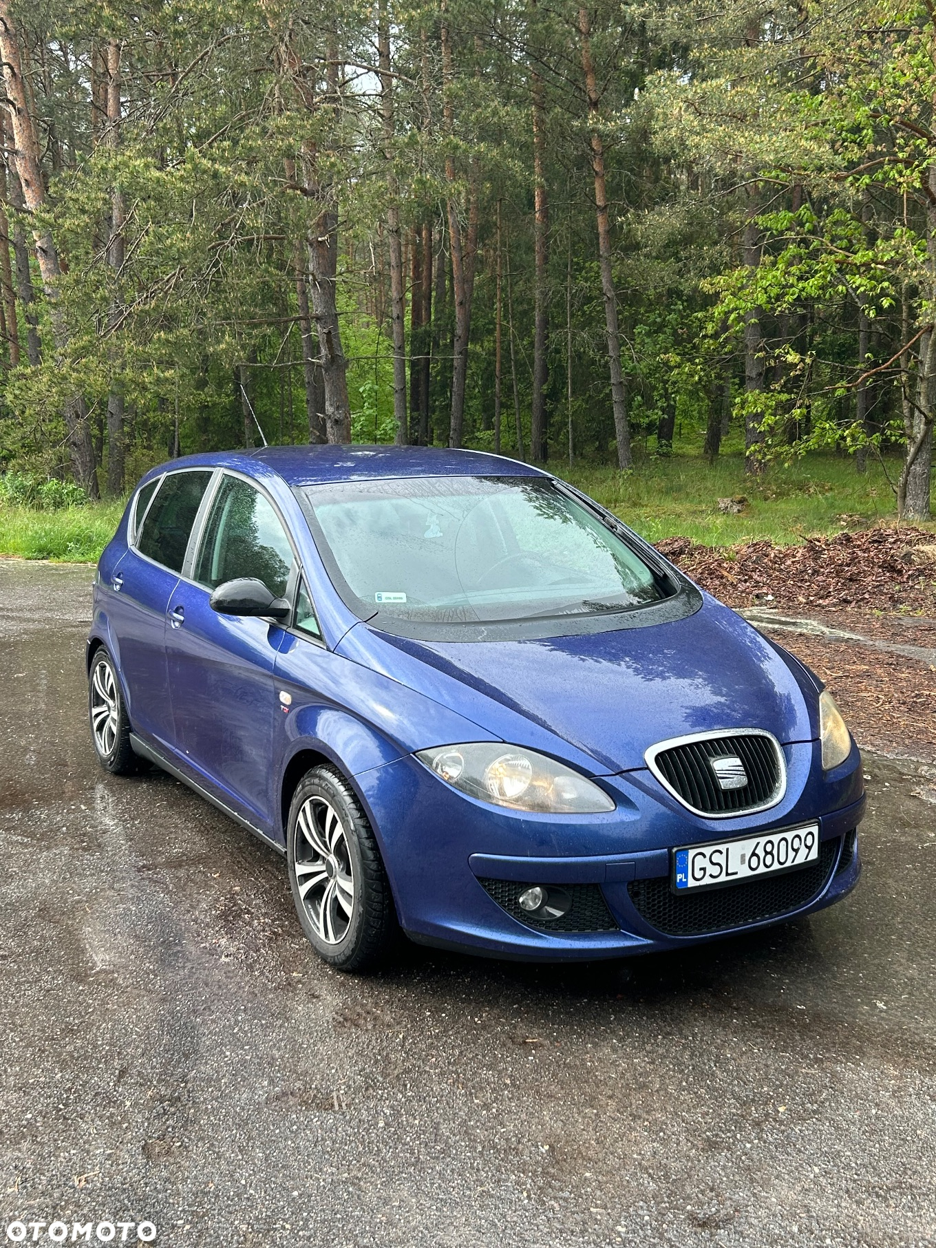 Seat Altea - 2