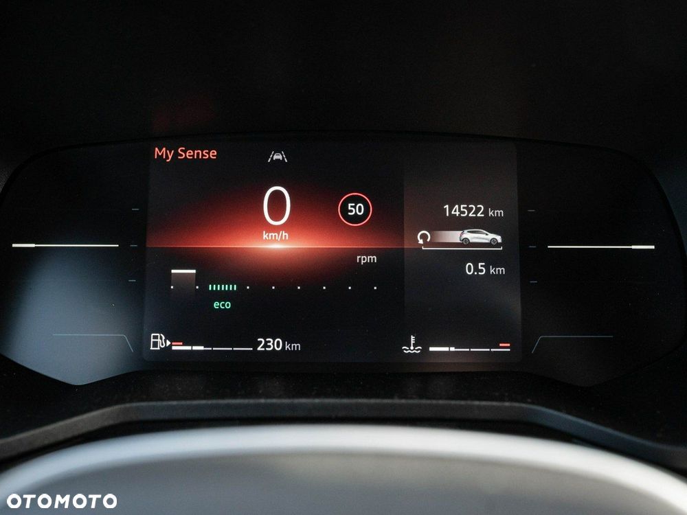 Renault Clio - 13