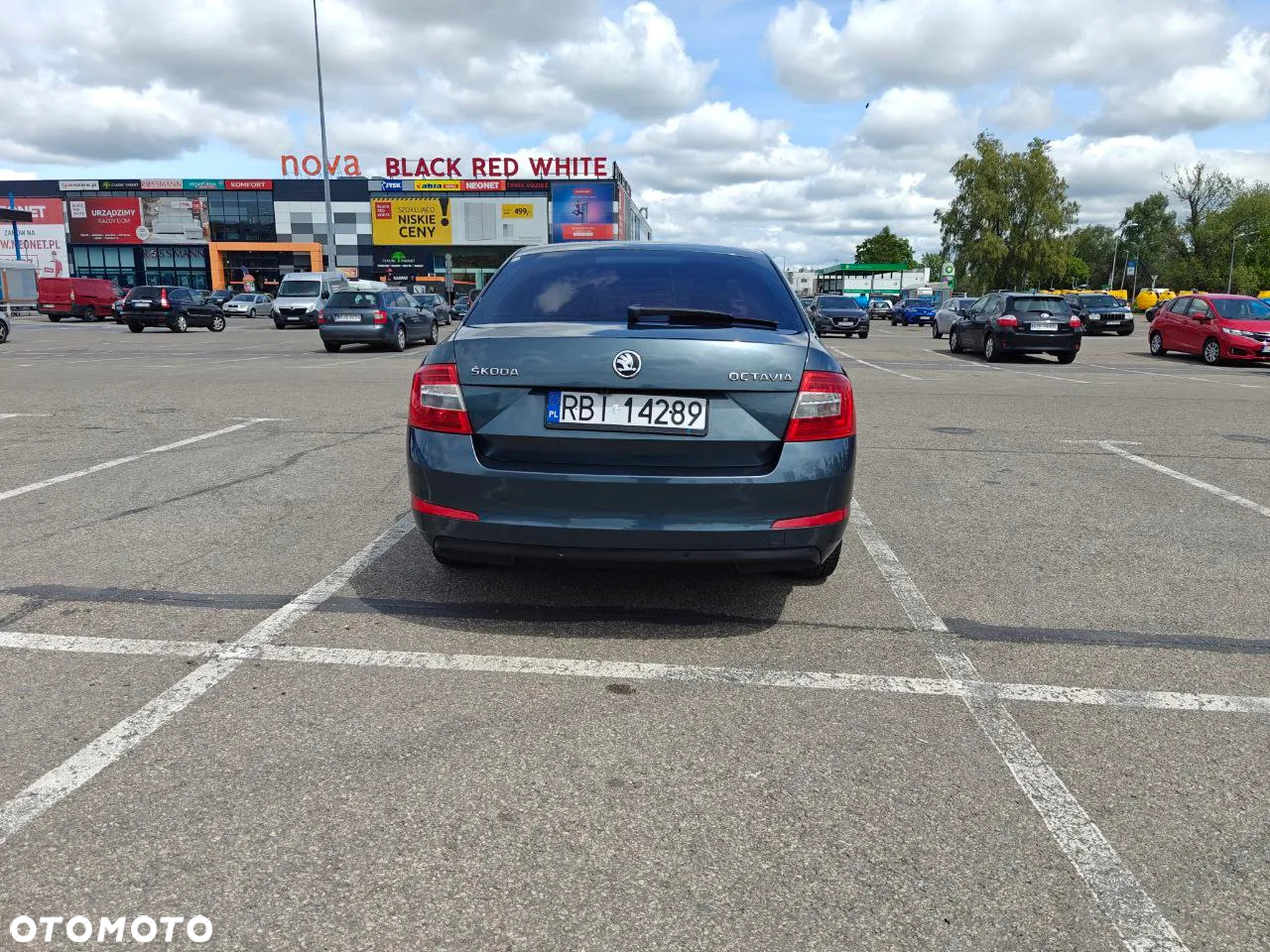 Skoda Octavia 1.6 TDI Elegance - 12