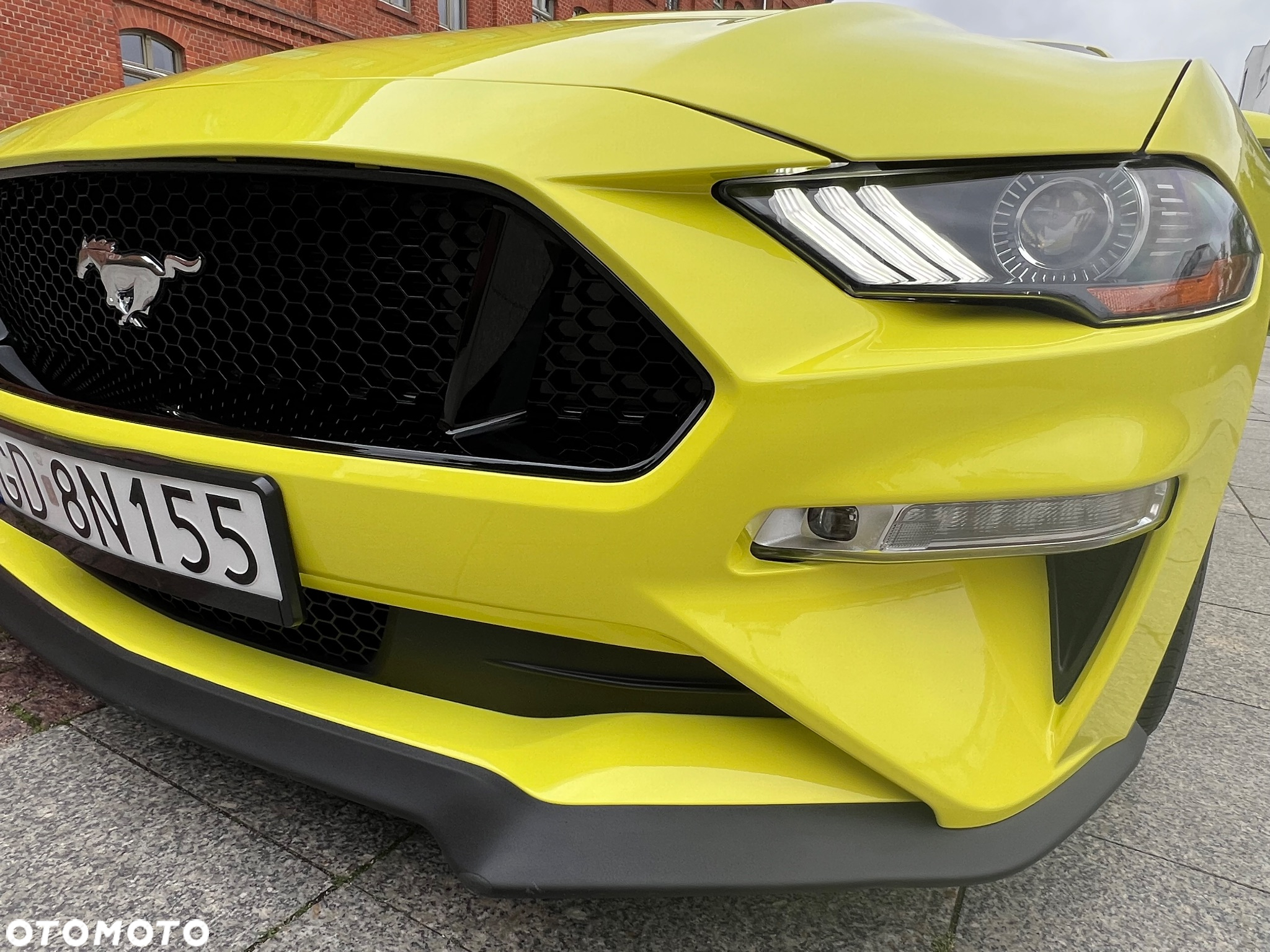 Ford Mustang 5.0 V8 Mach 1 - 28