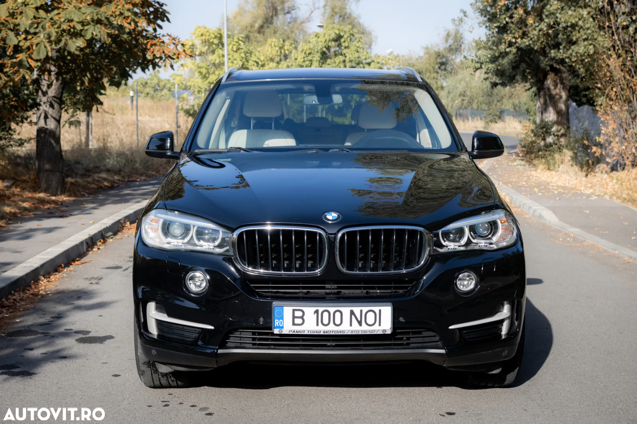BMW X5 xDrive25d - 21
