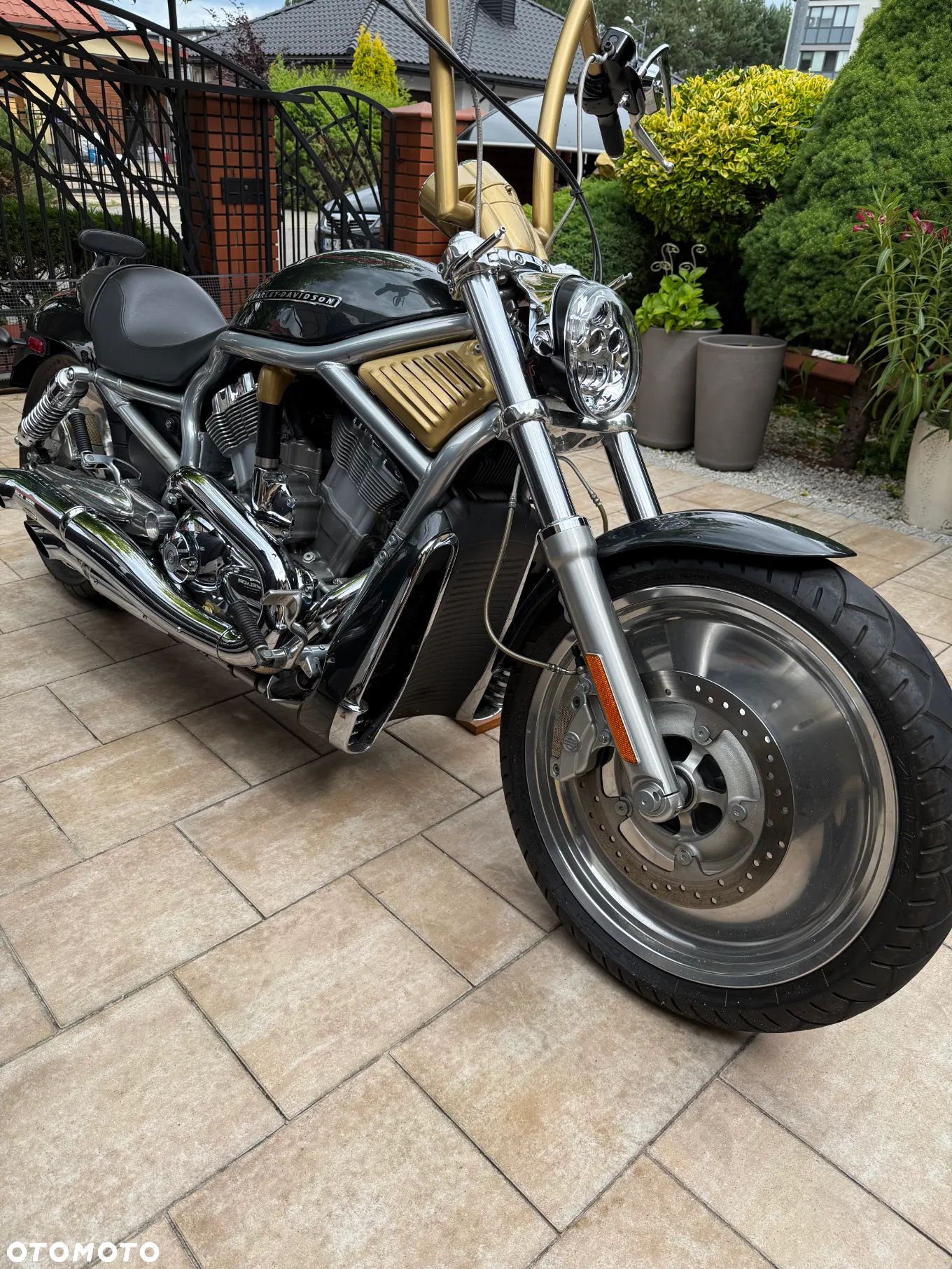 Harley-Davidson Softail V-Rod - 1