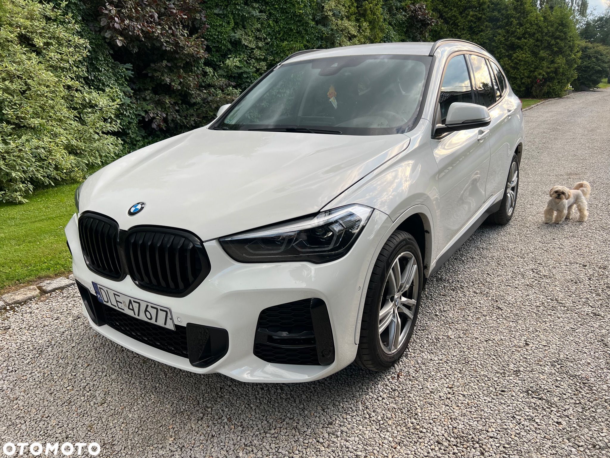 BMW X1 sDrive18d M Sport - 1