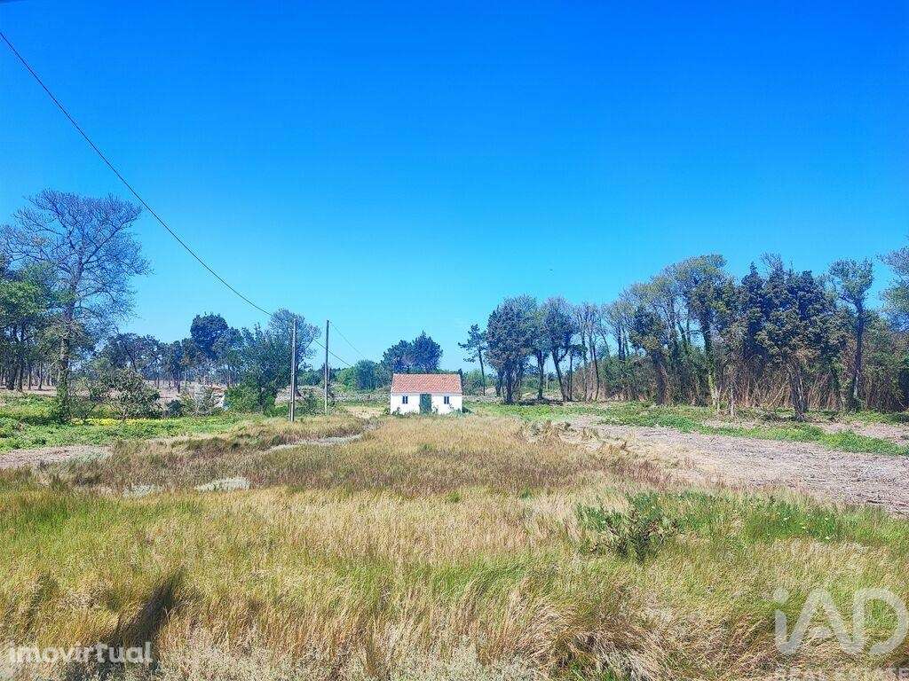 Casa / Villa T2 em Torreira de 136,00 m2 - Grande imagem: 4/12