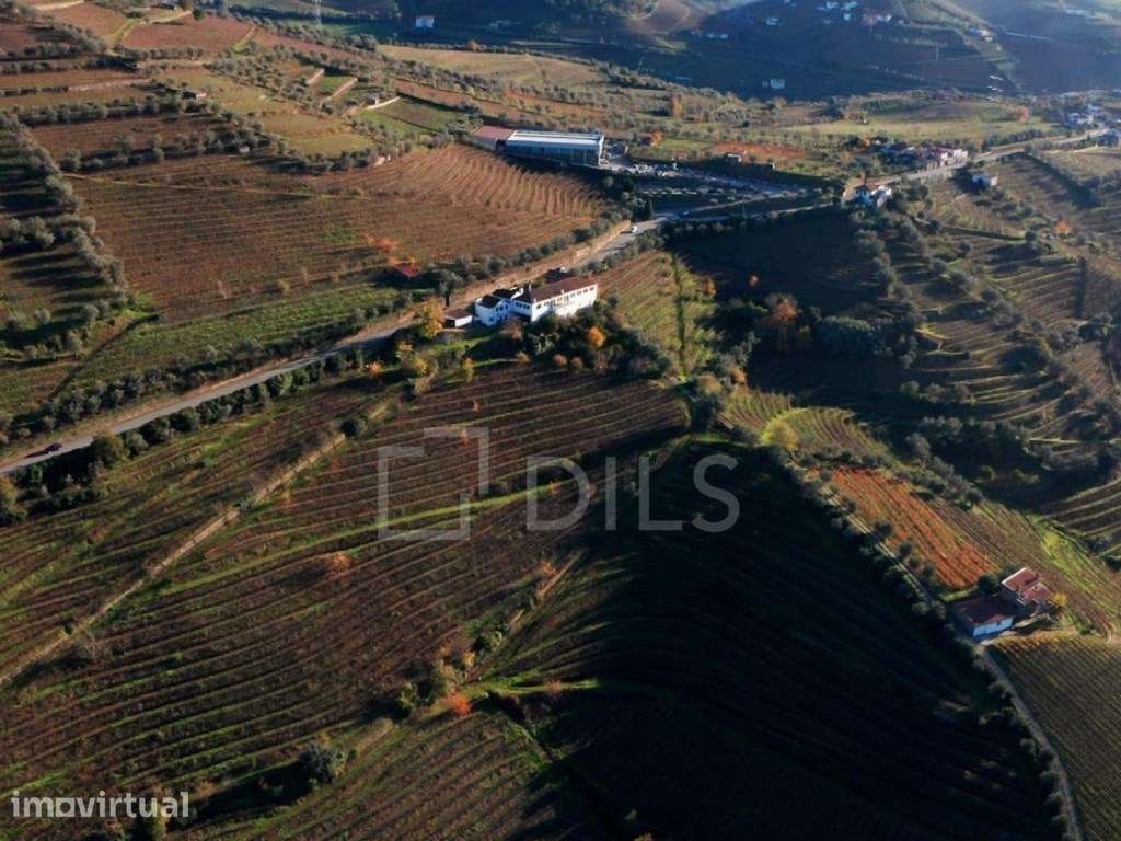 Quinta T6 em Lamego, Cambres, com vinha e vistas rio Douro - Grande imagem: 3/25