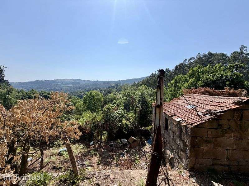 Quinta em Abragao - Grande imagem: 3/8