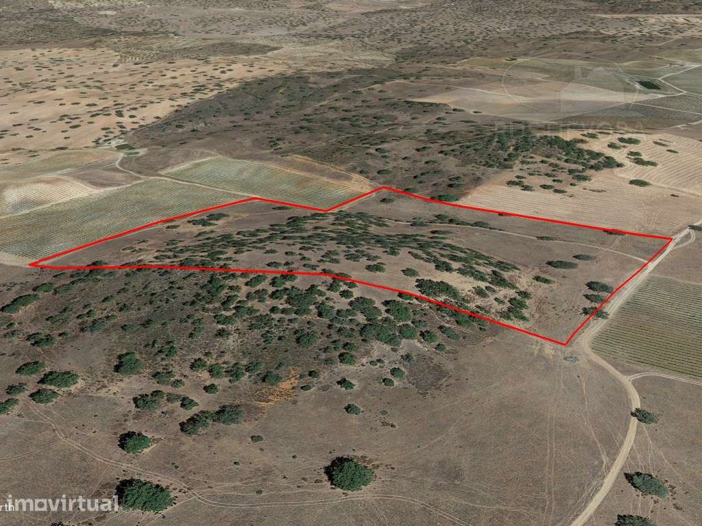 Terreno Rústico com 7,5 ha no Alandroal | Oportunidade para Agricul... - Grande imagem: 3/4