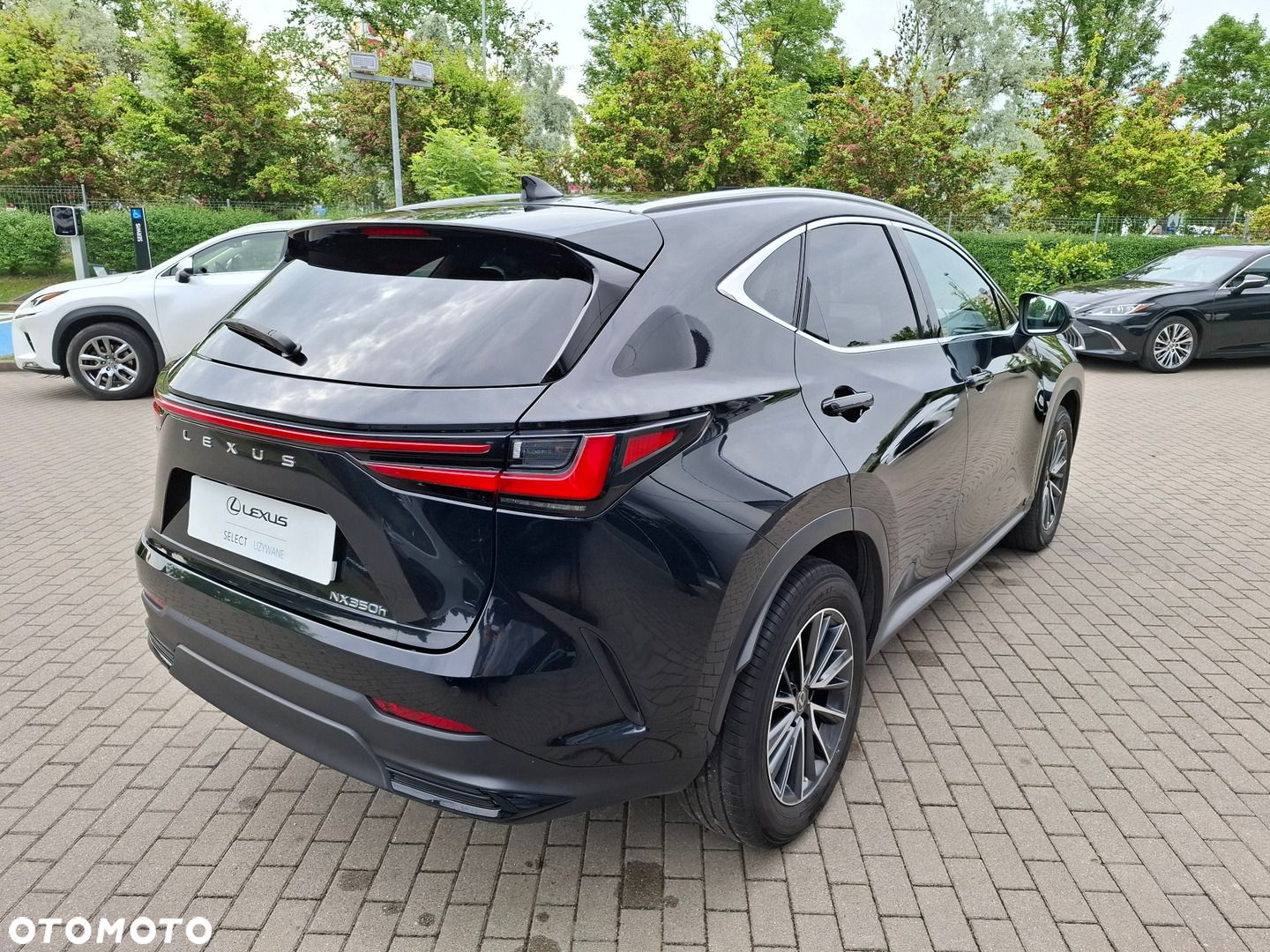 Lexus NX - 5