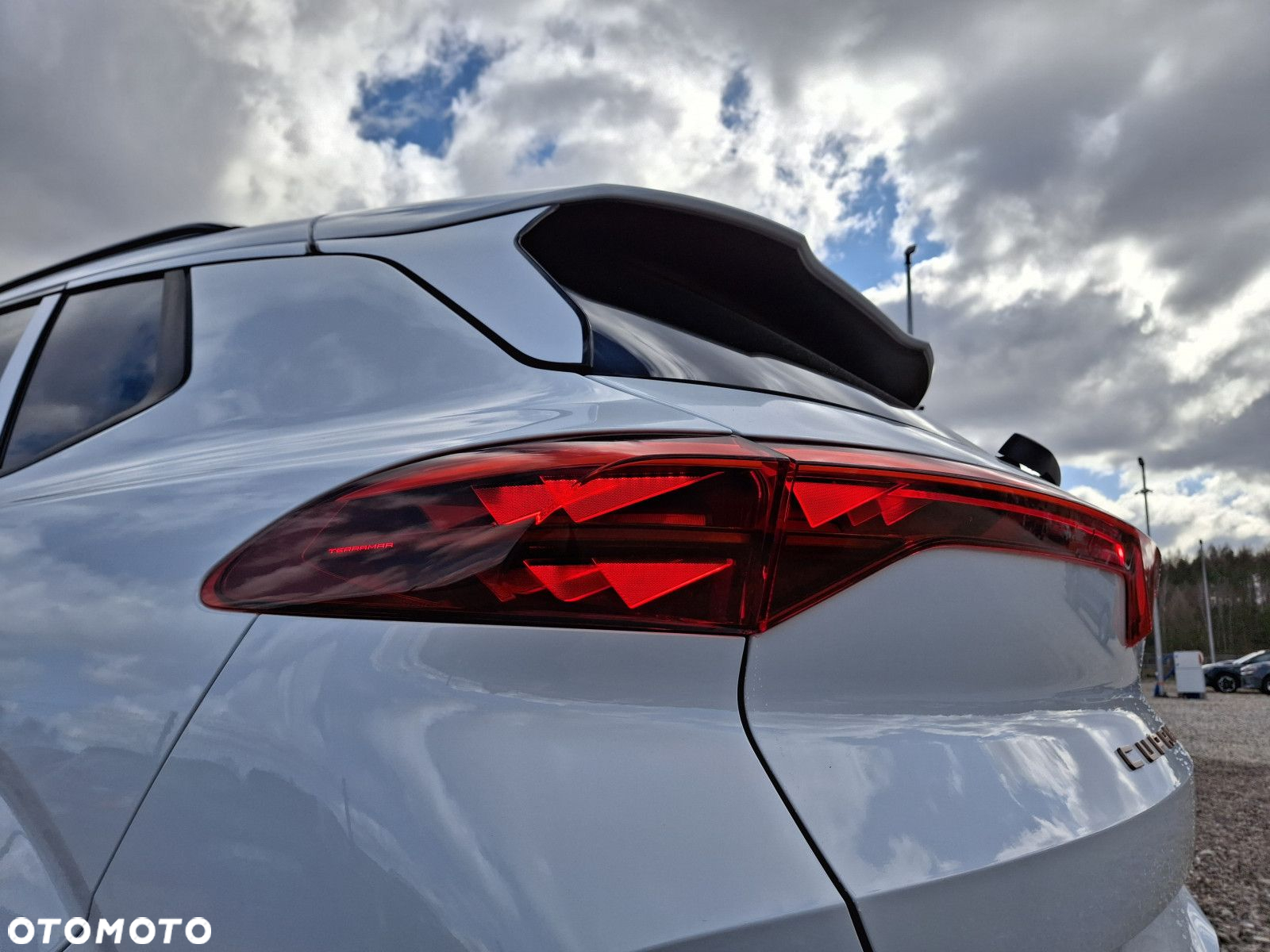 Cupra Terramar - 9