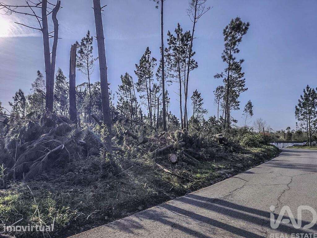 Terreno Agrícola em Maceira - Grande imagem: 3/7