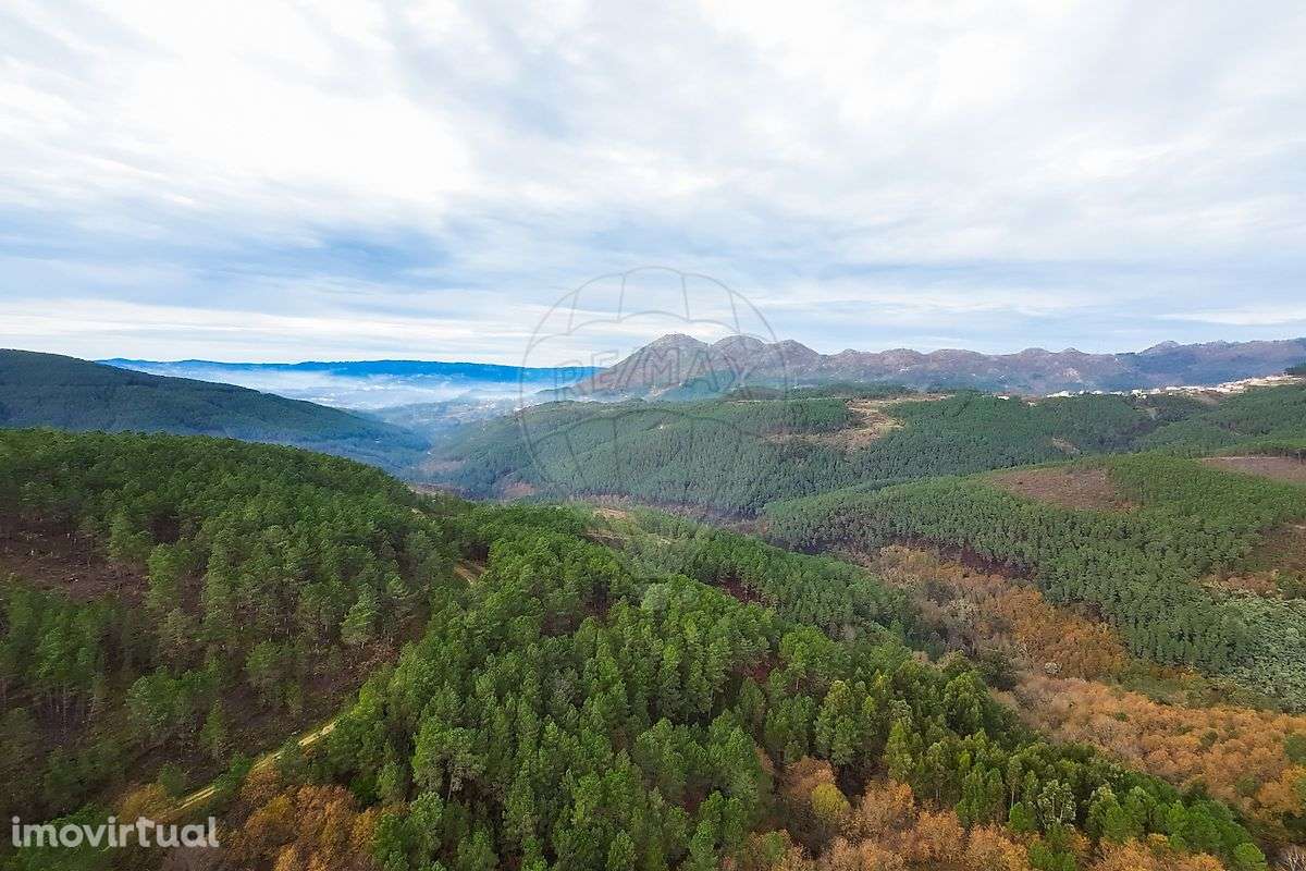 Moradia T5 para venda - Grande imagem: 2/45