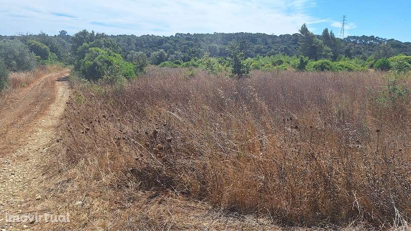 Terreno, 4 040 m², Pontével - Grande imagem: 4/5