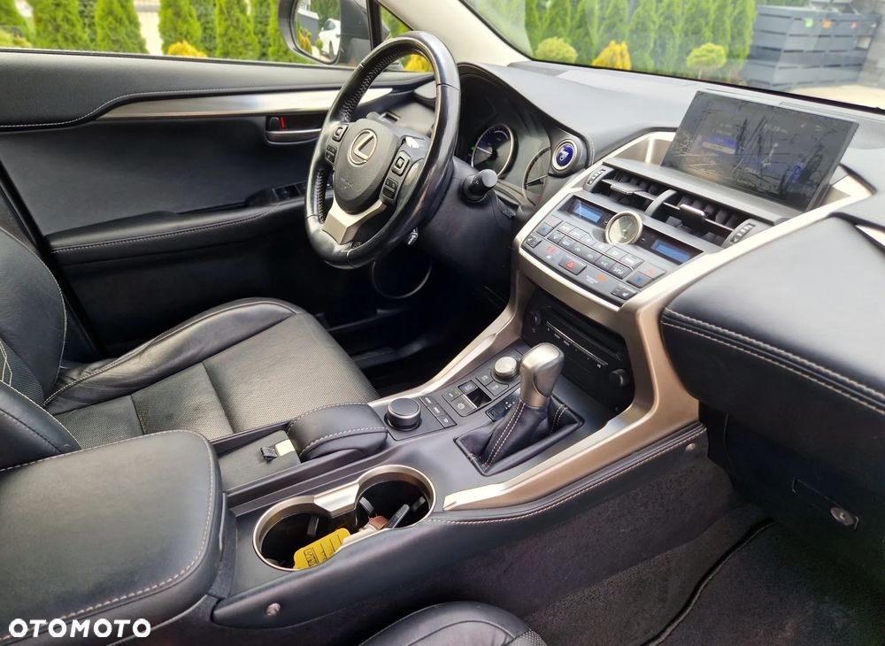 Lexus NX - 18
