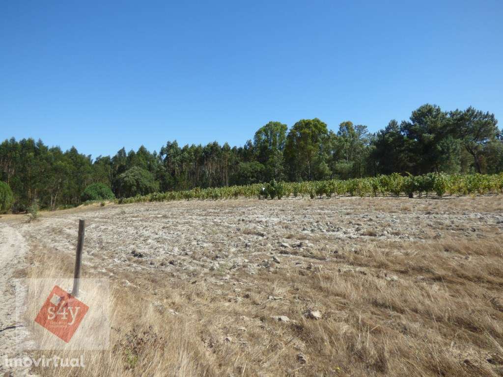 Terreno Foros do Trapo de 5.500m2! - Grande imagem: 3/5