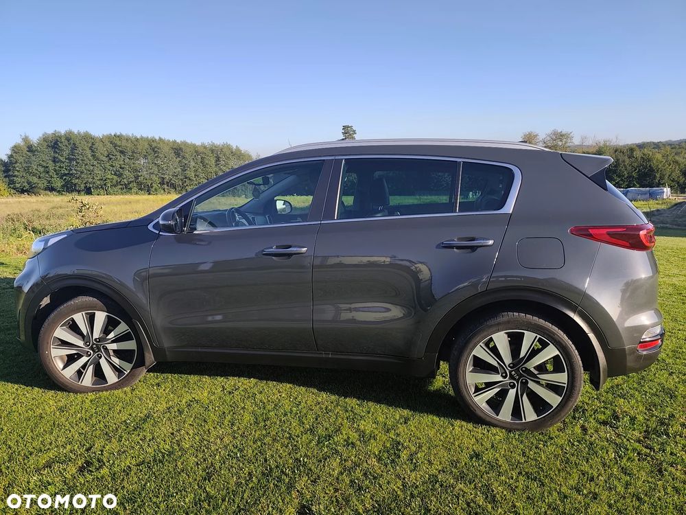 Kia Sportage 1.6 CRDI AWD Eco-Dynamics+ (48V M-H) DCT Black Edition - 15