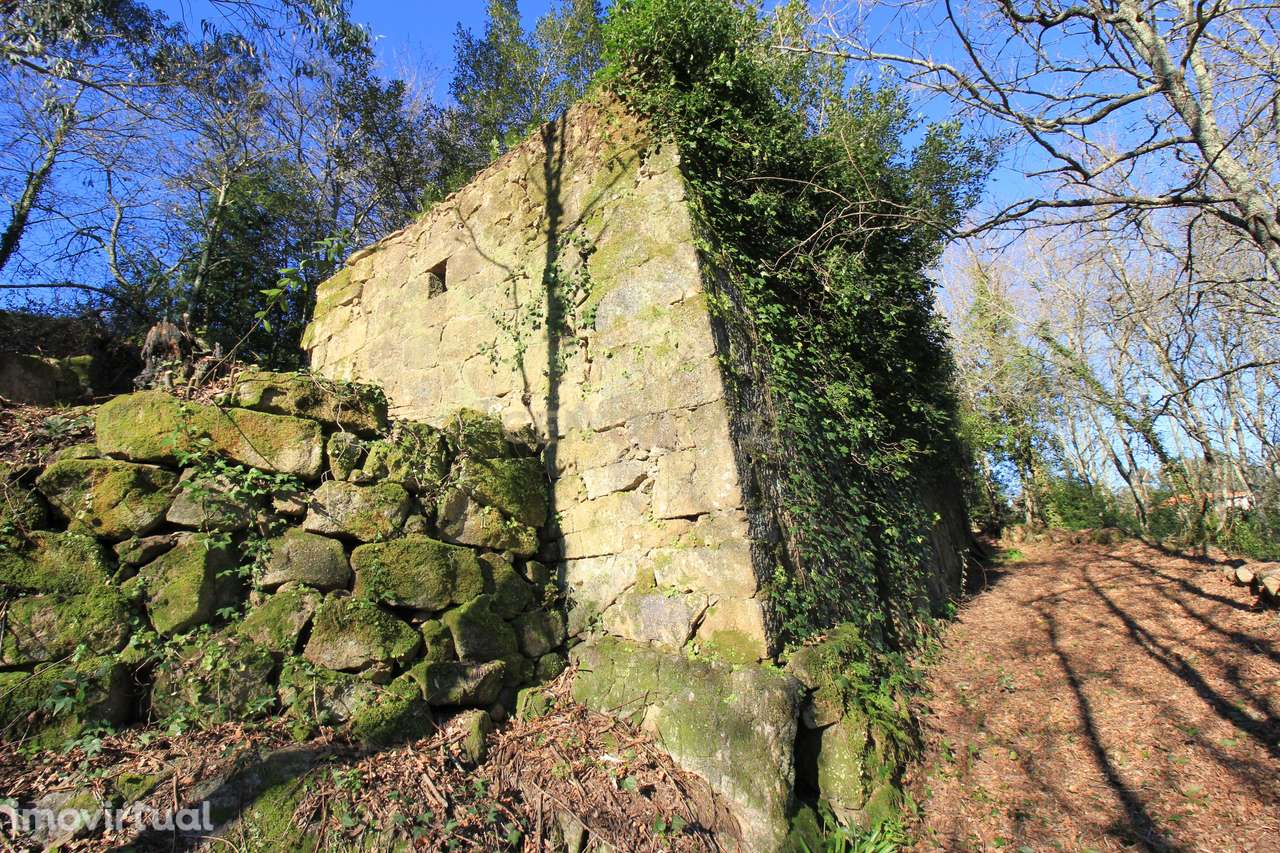 Quinta para restauro com vistas Rio Tâmega - Grande imagem: 3/28