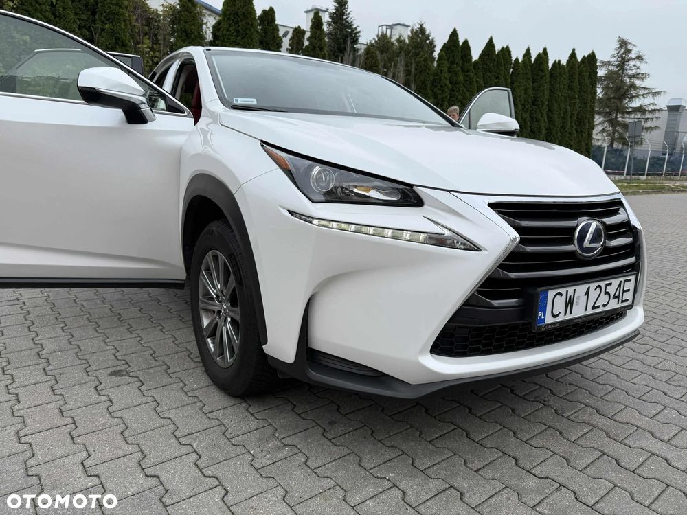 Lexus NX 300h Elite 2WD - 5