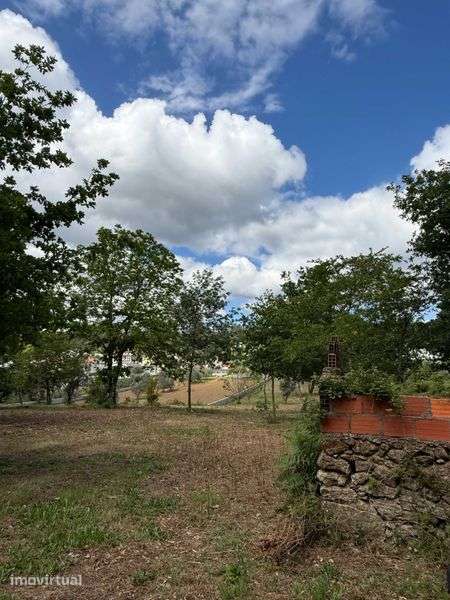 Terreno com aproximadamente 7000m² -  VISEU|SATÃO - Grande imagem: 3/12