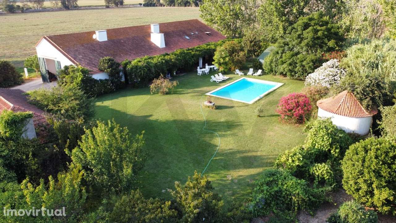 Bem-vindo à Quinta Olival das Moitas - Encanto Rural e Elegância para - Grande imagem: 3/40