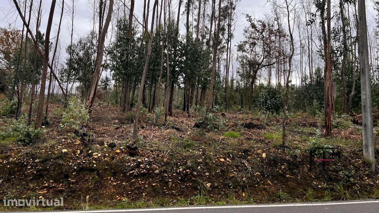 Terreno Para Construção  Venda em Macinhata do Vouga,Águeda - Grande imagem: 2/5