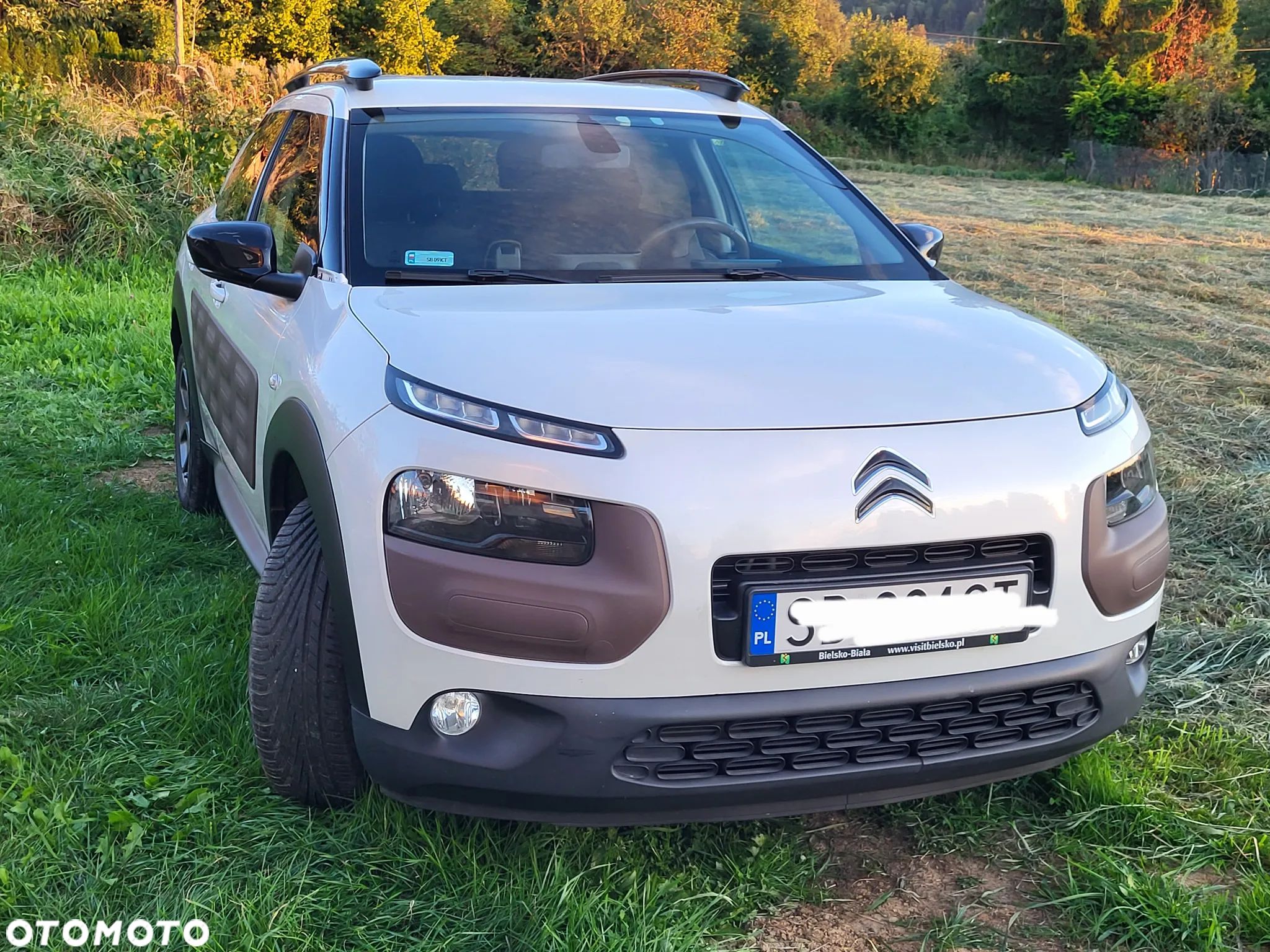 Citroën C4 Cactus - 1