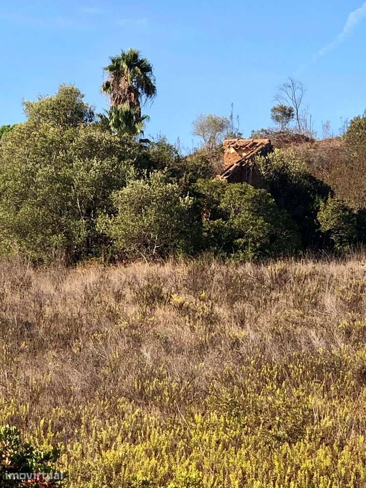PROPRIEDADE RUSTICA COM RUINA PARA  RECONSTRUÇÃO, BENSAFRIM - Grande imagem: 4/10