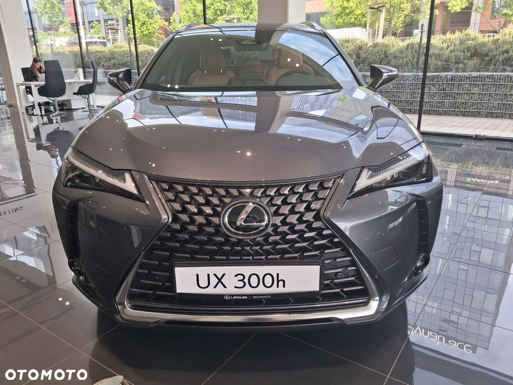 Lexus UX 300h Business - 3
