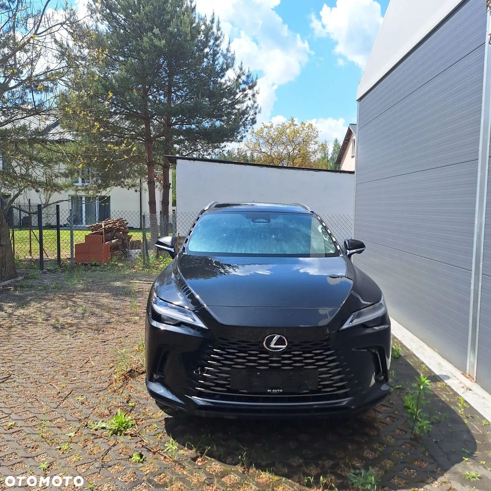 Lexus RX - 20