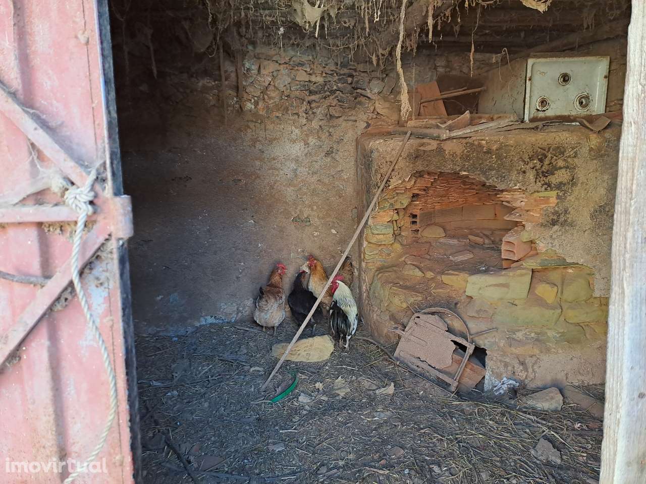 Moradia T2 para reconstrução - Semide - Grande imagem: 3/22