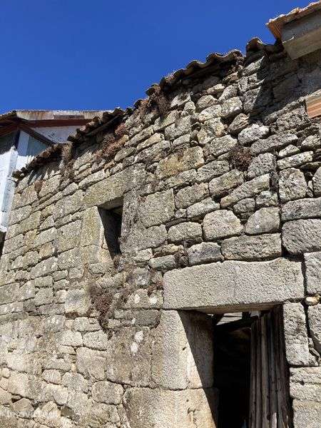 Casa em pedra para reconstrução em Avões - Lamego - Grande imagem: 2/8