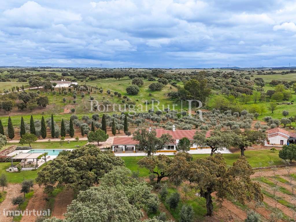 Propriedade de Luxo com Vinha e Potencial de Turismo em Estremoz, n... - Grande imagem: 2/60