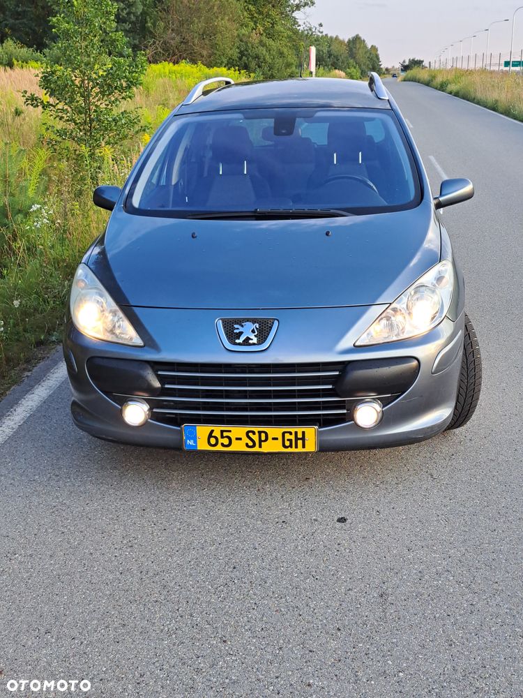 Peugeot 307 1.6 Premium - 3
