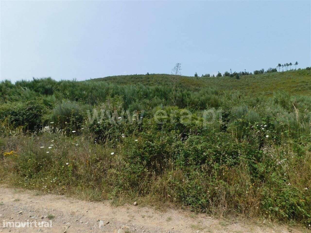 Terreno com ruina / Covilhã, Barco e Coutada - Grande imagem: 2/6