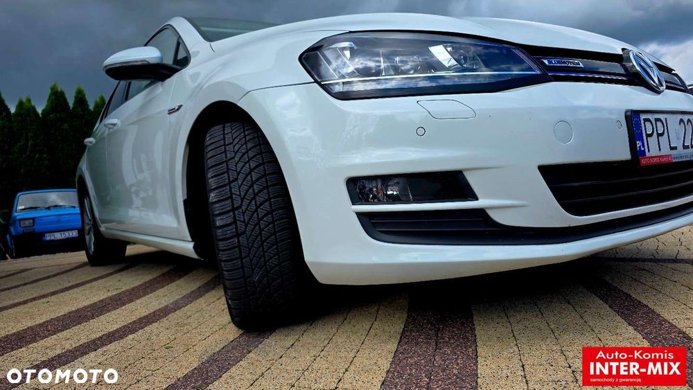 Volkswagen Golf - 14