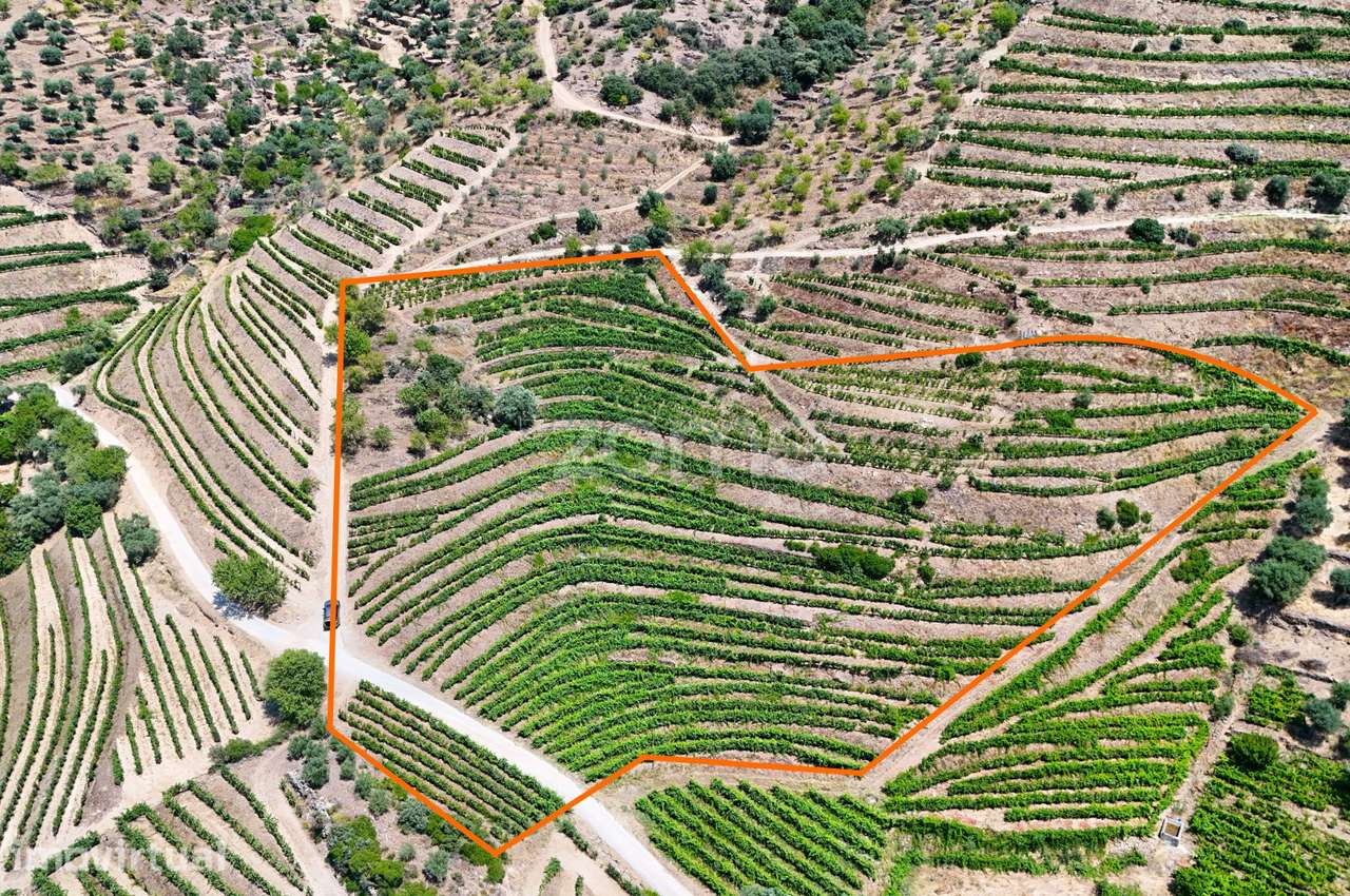Terreno com 20.163 m² e Vistas Deslumbrantes sobre o Rio Douro - Grande imagem: 2/18