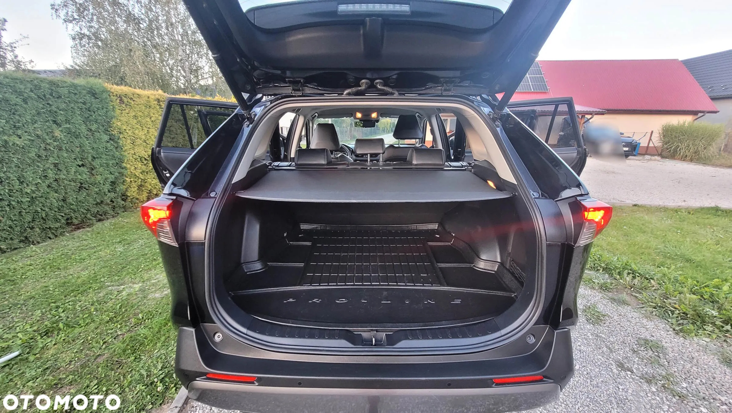 Toyota RAV4 2.5 Hybrid Executive 4x4 - 25