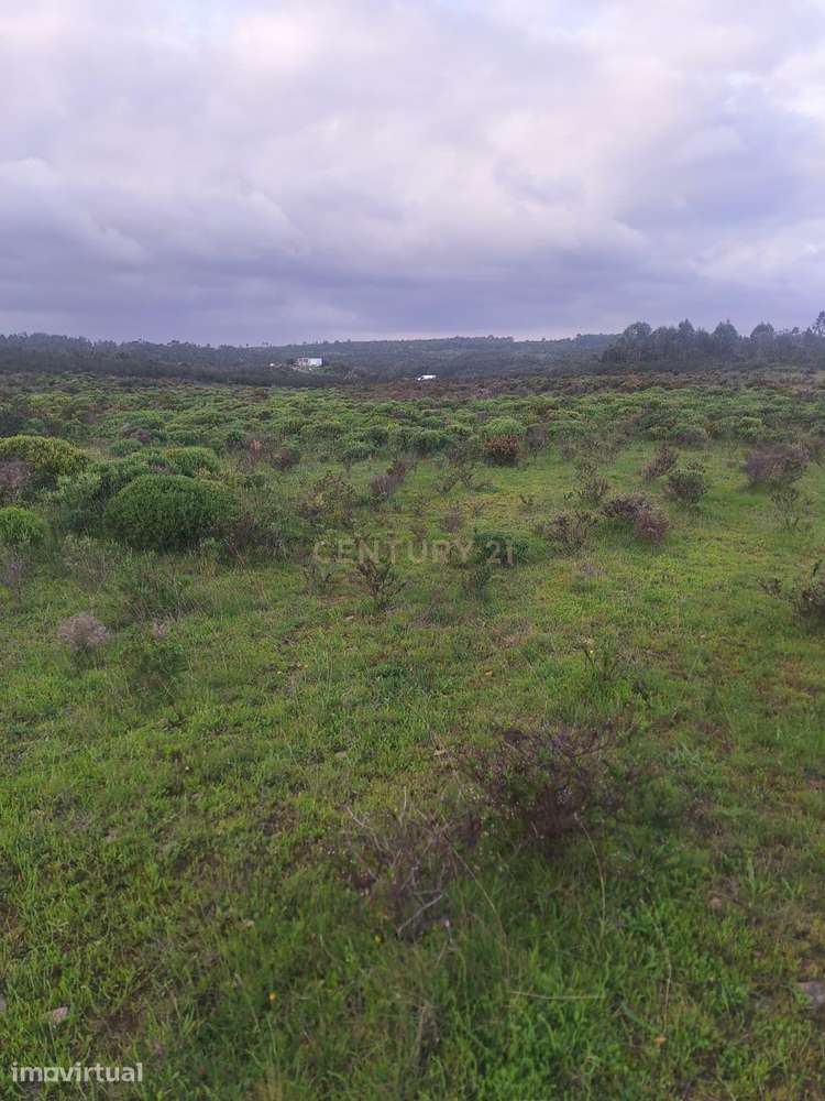 33,6 Hectares de Natureza na Costa Vicentina | Privacidade Absoluta a - Grande imagem: 2/21